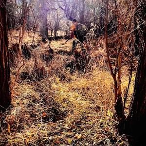 Meet your Posher, Myre